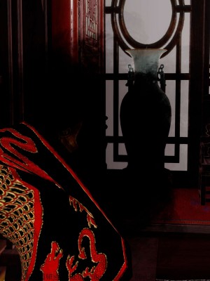 借你娘子泄泄火外传 女侠夏玲兰篇 上下集_[TOC]-02-206