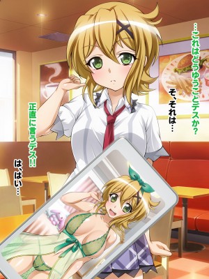 [ファンタスティック☆猫侍]戦姫絶頂シンフォギア2H_009