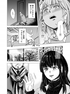 [いーないん (いーなん)] もう、姉として認識できない。[DL版]_13