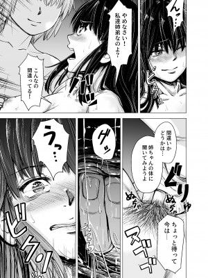 [いーないん (いーなん)] もう、姉として認識できない。[DL版]_20