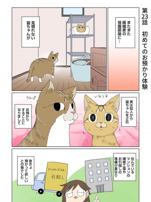 アナンガ・ランガ Vol. 98_391