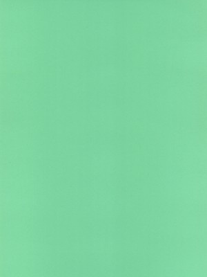(C99) [珍譜堂 (まるい)] 盾の従者で勃て治し (盾の勇者の成り上がり)_04
