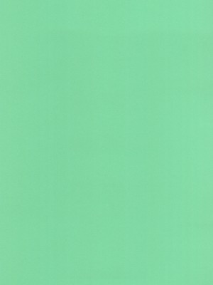 (C99) [珍譜堂 (まるい)] 盾の従者で勃て治し (盾の勇者の成り上がり)_03