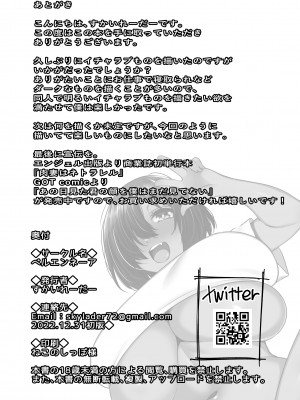[ベルエンネーア (すかいれーだー)]  お姉ちゃんって呼んでほしいお義姉ちゃん_25