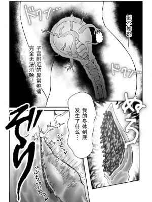 [火と身 (第九遺物オレンジ)] 魔女が触手と蟲に寄生されて子宮と人生をめちゃくちゃにされる話[中文翻译]_12