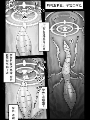 [火と身 (第九遺物オレンジ)] 魔女が触手と蟲に寄生されて子宮と人生をめちゃくちゃにされる話[中文翻译]_04