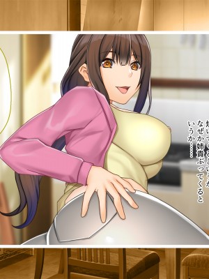 [ニュルリンベルク (やしちぃ)] セックス以外ヤルことがない団地住まいの女系大家族に男一人チンポシェアされる日々_014