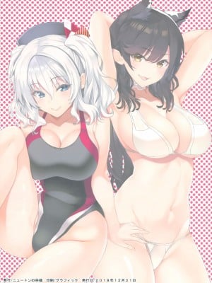 (C95) [ニュートンの林檎 (戌角柾)] N,s A COLORS #09 (艦隊これくしょん -艦これ-、アズールレーン)_011