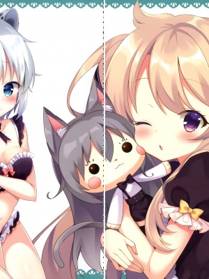 (C99) [cottontail (なのはなこひな)] coffret-cottontail- (オリジナル)_012