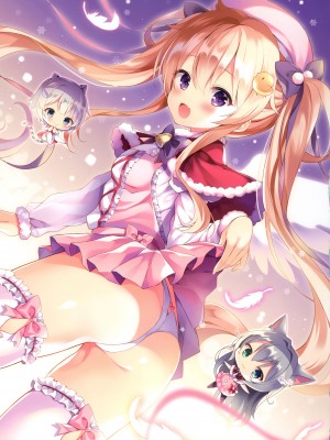 (C99) [cottontail (なのはなこひな)] coffret-cottontail- (オリジナル)_025
