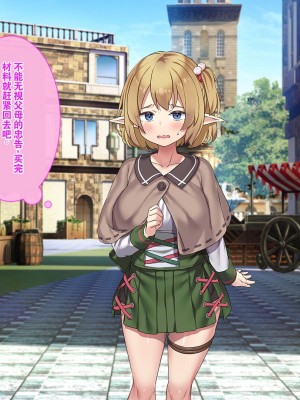 [はにわモナカ (エロッチ)] 森から出てきた、人間を知らないエルフの錬金術師 騙されバッドエンド編 [中国翻訳]_017