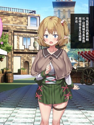 [はにわモナカ (エロッチ)] 森から出てきた、人間を知らないエルフの錬金術師 騙されバッドエンド編 [中国翻訳]_016