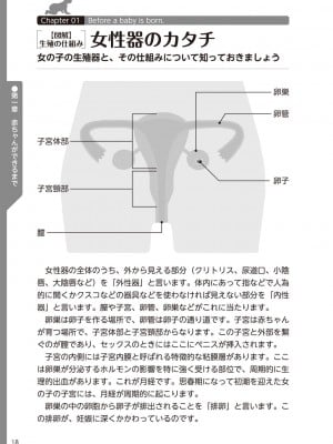 (成年コミック) [雑誌] やらなくてもまんがで解る性交と妊娠 赤ちゃんのつくり方_020