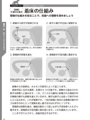 (成年コミック) [雑誌] やらなくてもまんがで解る性交と妊娠 赤ちゃんのつくり方_022