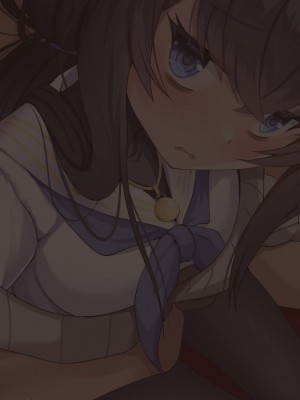 (C102) [すめし家 (べし)] 古書館で秘事 (ブルーアーカイブ) [DL版]_026