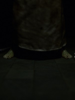 [Jared999D] Fallen Lady 9 [中国翻訳]_FL9-158