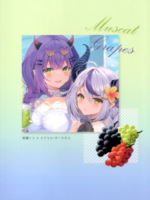 (C100) [ミサンガ (ミュシャ)] fruity (ホロライブ)_031