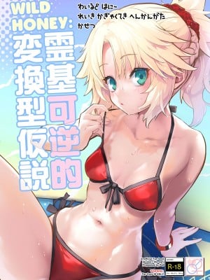 [Peθ (もず)] WILD HONEY：霊基可逆的変換型仮説 (Fate／Grand Order) [DL版]