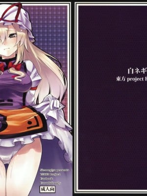 (C76) [白ネギ屋 (miya9)] 快楽の境界 (東方Project)