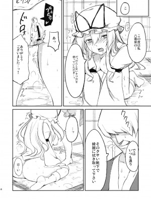 (C76) [白ネギ屋 (miya9)] 快楽の境界 (東方Project)_015