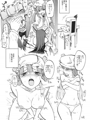 (C80) [白ネギ屋 (miya9)] ワイセツ図書館 (東方Project)_014