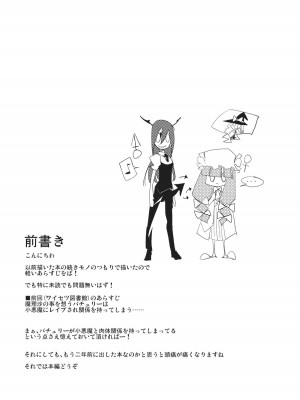 (例大祭10) [白ネギ屋 (miya9)] 曇天ライブラリー (東方Project)_003