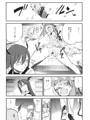 (例大祭10) [白ネギ屋 (miya9)] 曇天ライブラリー (東方Project)_005