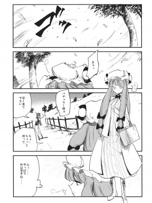 (例大祭10) [白ネギ屋 (miya9)] 曇天ライブラリー (東方Project)_008