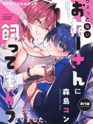 [紺色ドロップス (森島コン)]ちょっと怖いおねーさんに飼ってもらう事になりました。 [DL版] [白杨汉化组]