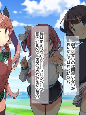 (同人CG集) [ラブリテス (きびぃもか)] 四六時中俺のチンポにハメられ孕むまで中出しされることを妄想する変態に育ってしまったいもうと達の正しい躾け方_0005