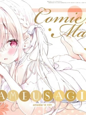 (C102) [あめうさぎ (飴玉コン)] Lumiere_03