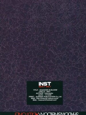 INST (Interstellar)  東方Projectまとめ_240