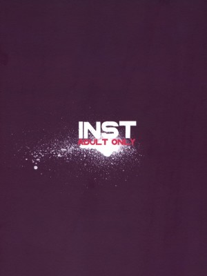 INST (Interstellar)  東方Projectまとめ_466