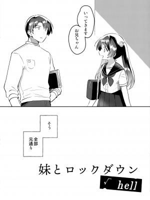 (COMIC1☆20) [squeezecandyheaven (いちはや)] 妹とロックダウン√hell_03