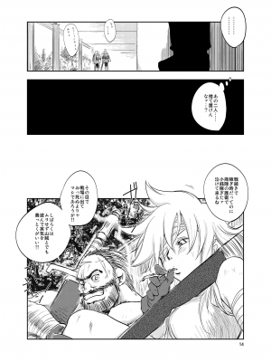 [池袋DPC (DPC)] GRASEEN'S WAR ANOTHER STORY Ex #02 ノード侵攻 II_14