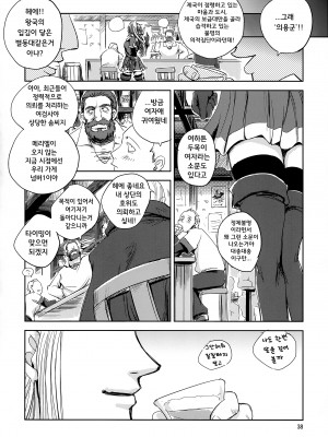 [池袋DPC (DPC)] GRASEEN'S WAR ANOTHER STORY Ex #05 ノード侵攻 V_38