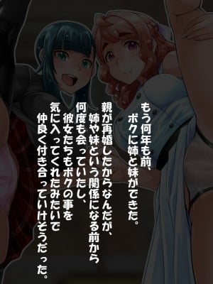[俺的十八禁] 義理GIRIあうとMYシスターズ_006