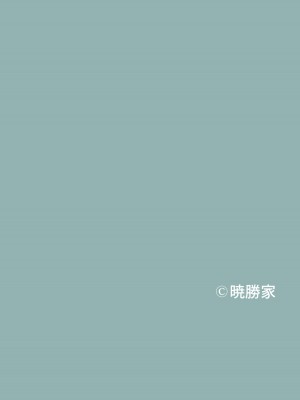 [暁勝家のサークル (暁勝家)] GIRL SPY MISSION (SPY×FAMILY) [DL版]_24