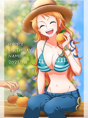 [茶子] ルナミろぐ 1 (ワンピース) [莉赛特汉化组]_20