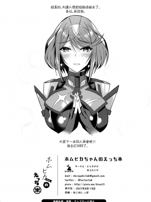 (C100) [どらやきや (井上たくや)] ホムヒカちゃんのえっち本 (ゼノブレイド2) [无毒汉化组]_28