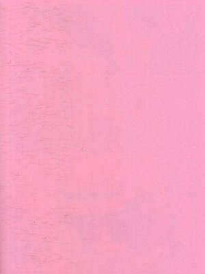 (妖言緊急SUMMER2021) [せいちょーつう (更江)] いんもらりすと (呪術廻戦) [海棠零个人汉化]_02