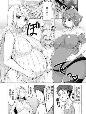 [白い闇 (K-you)] ファミリープロジェクトX (ゼノブレイド2) [甜族星人x我不看本子个人汉化] [DL版]_05