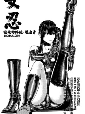 [卑鄙的外乡人nu] 女忍(铁处女／Ironmaiden 外传-蝶之章)_285