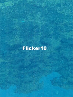 (C102) [Flicker10 (くろニャン)] 夏の終わり_40