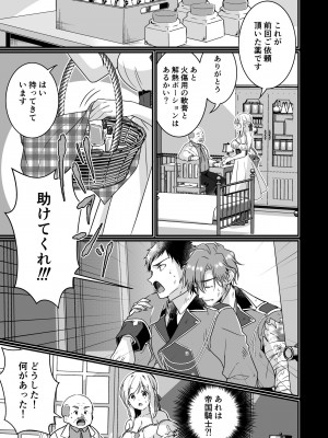 [ぽぽんた堂 (吉井コウ)] 助けた騎士の恩返しは子作りで？!_06