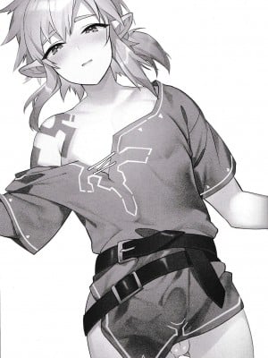 (C102) [Ash wing (まくろ)] コンラン勇者 (ゼルダの伝説 ブレス オブ ザ ワイルド) [逃亡者×真不可视汉化组]_02