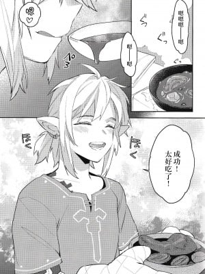 (C102) [Ash wing (まくろ)] コンラン勇者 (ゼルダの伝説 ブレス オブ ザ ワイルド) [逃亡者×真不可视汉化组]_04