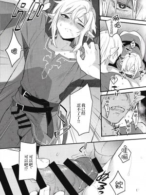 (C102) [Ash wing (まくろ)] コンラン勇者 (ゼルダの伝説 ブレス オブ ザ ワイルド) [逃亡者×真不可视汉化组]_12