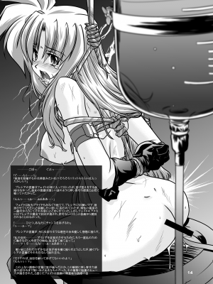 [WARP商会 (45ACP)] 隊長最前線 (魔法少女リリカルなのは) [DL版]_15