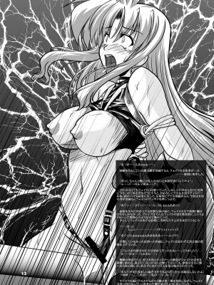 [WARP商会 (45ACP)] 隊長最前線 (魔法少女リリカルなのは) [DL版]_14